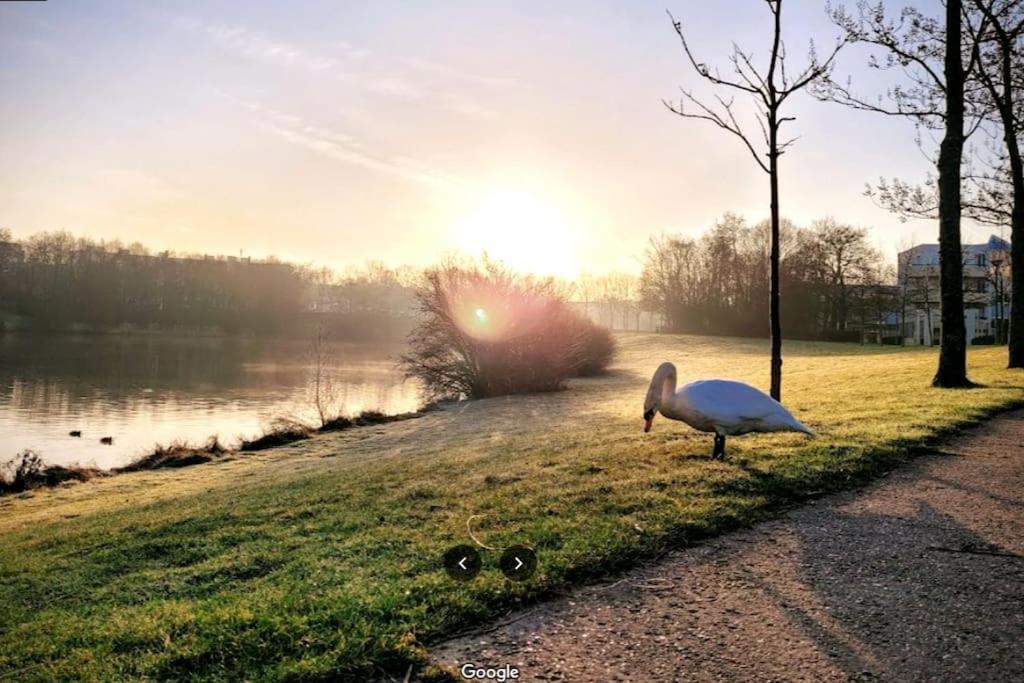 Sejour En Famille Ou Amis A Disneyland & Paris Lognes Exterior foto